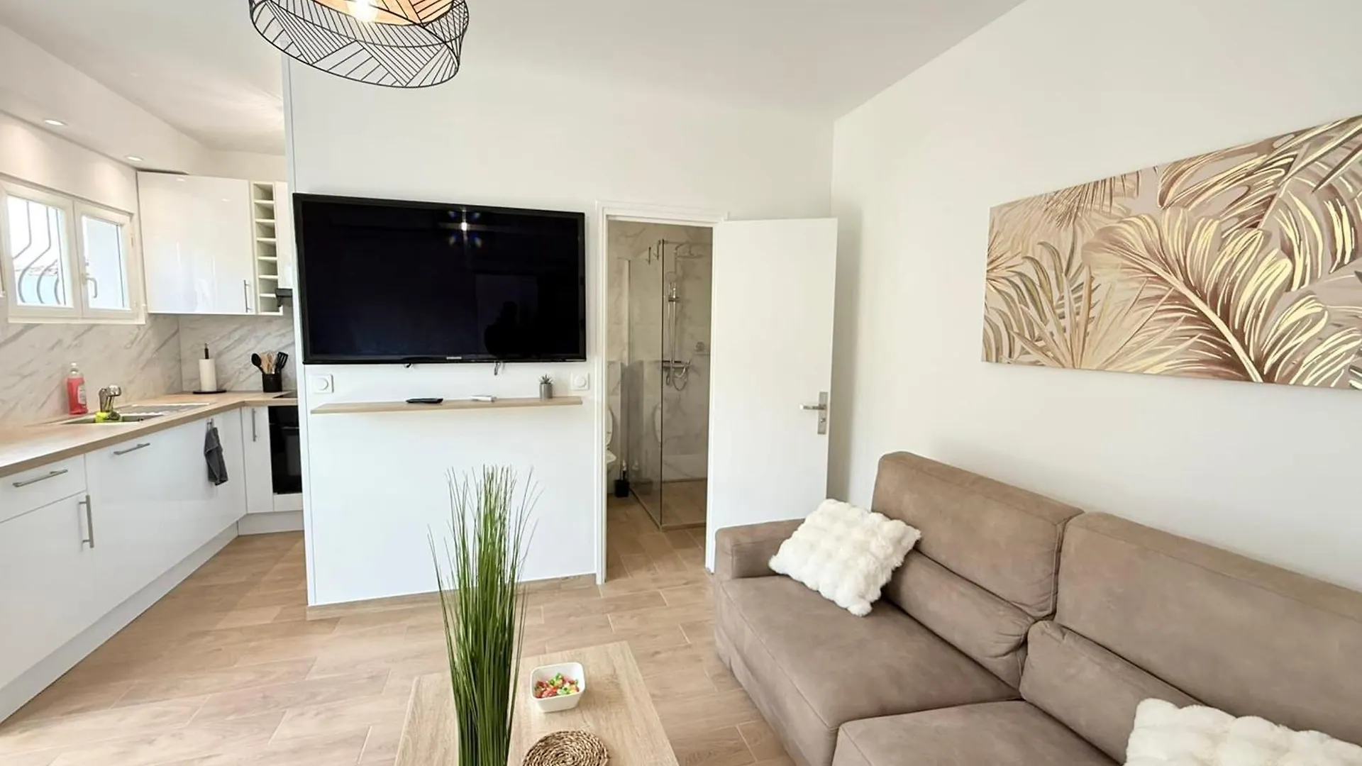 06Cp - Beautiful T2 Super Equipped With Terrace Apartment Villeneuve-Loubet France